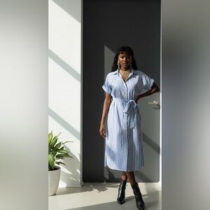 Zara Blue and White Striped Midi Dress